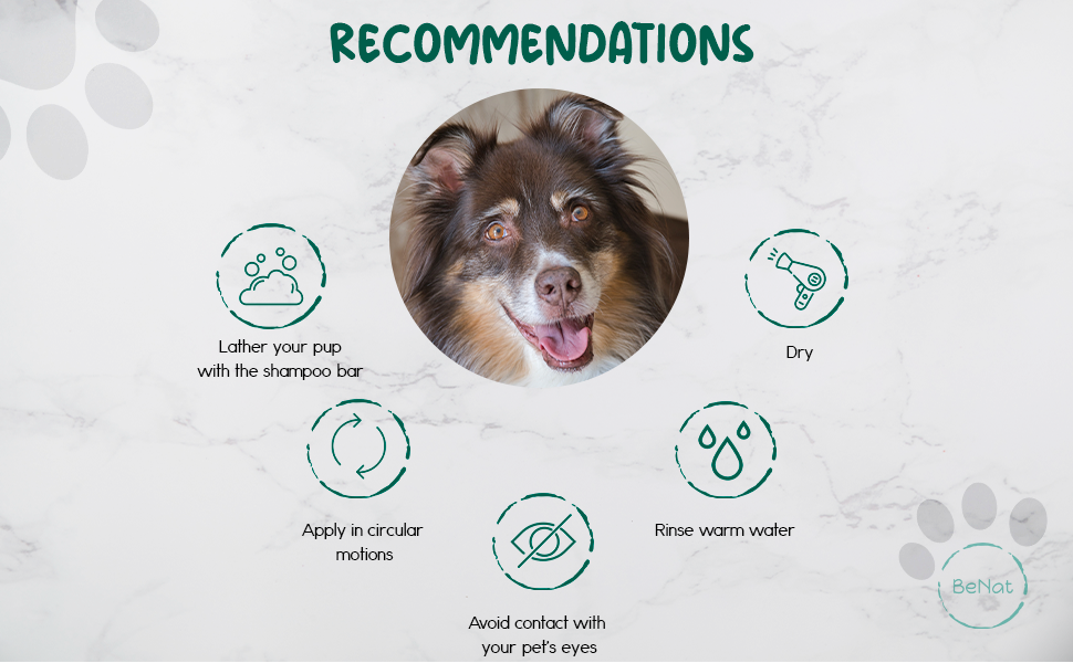 BeNat Pets. All-Natural Pet Shampoo Bar. Oat. 5.8 oz.-2